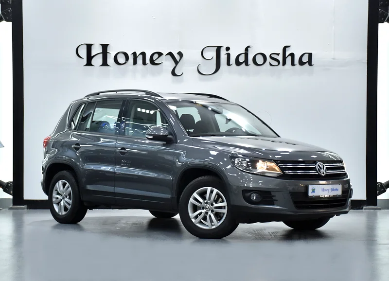 2016 Volkswagen Tiguan GCC