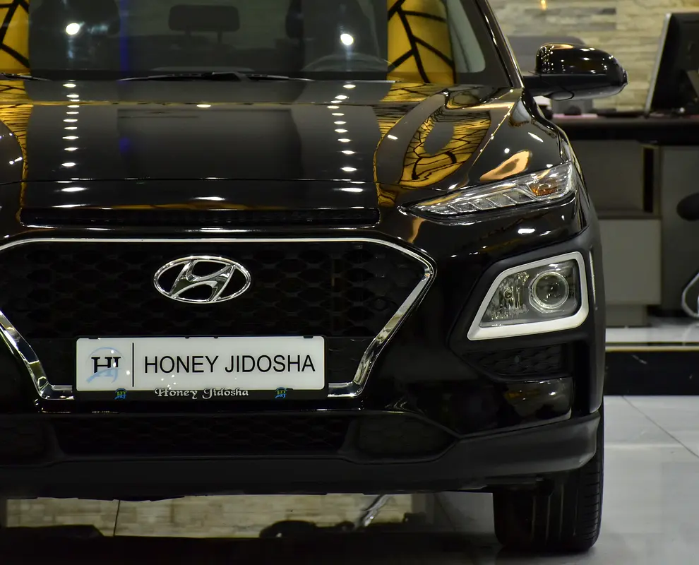 2018 Kona Korean
