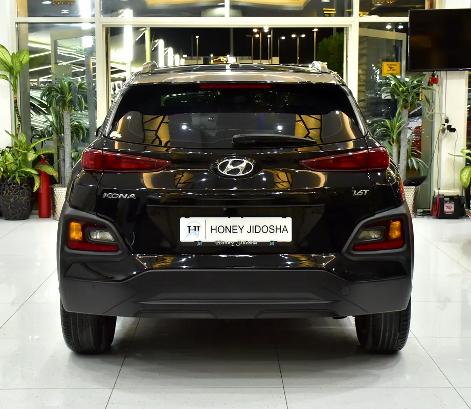 2018 Kona Korean