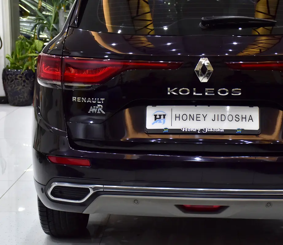 GCC 2022 Koleos