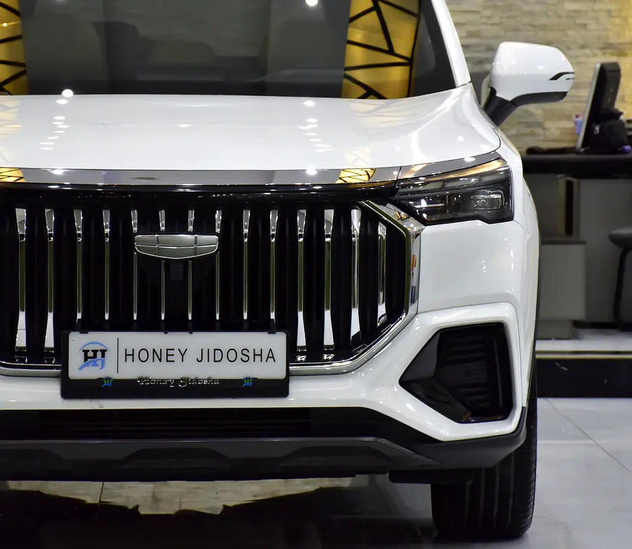 GCC 2025 Geely Okvango