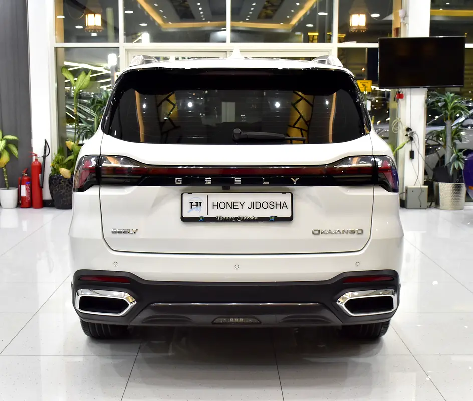 GCC 2025 Geely Okvango