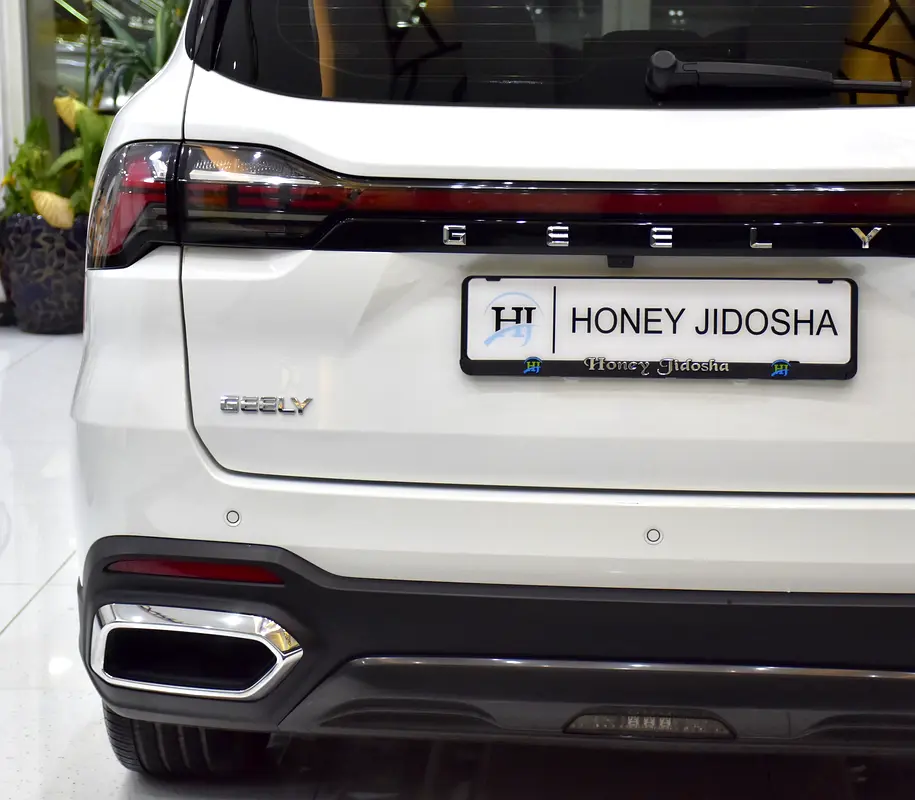 GCC 2025 Geely Okvango