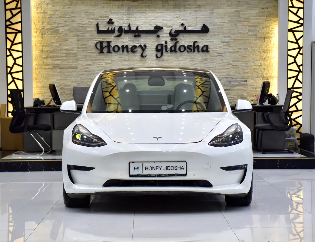 2021 Model 3 84000
