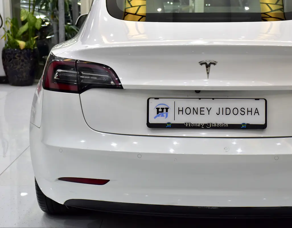 2021 Model 3 84000