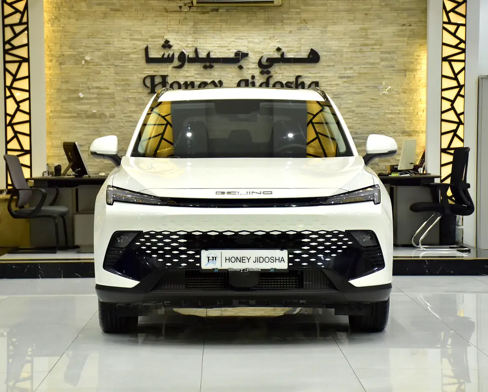 2024 BAIC X55 GCC