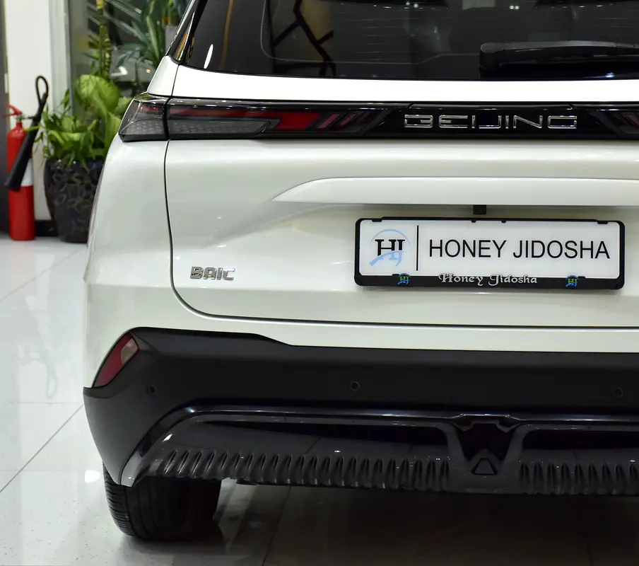 2024 BAIC X55 GCC