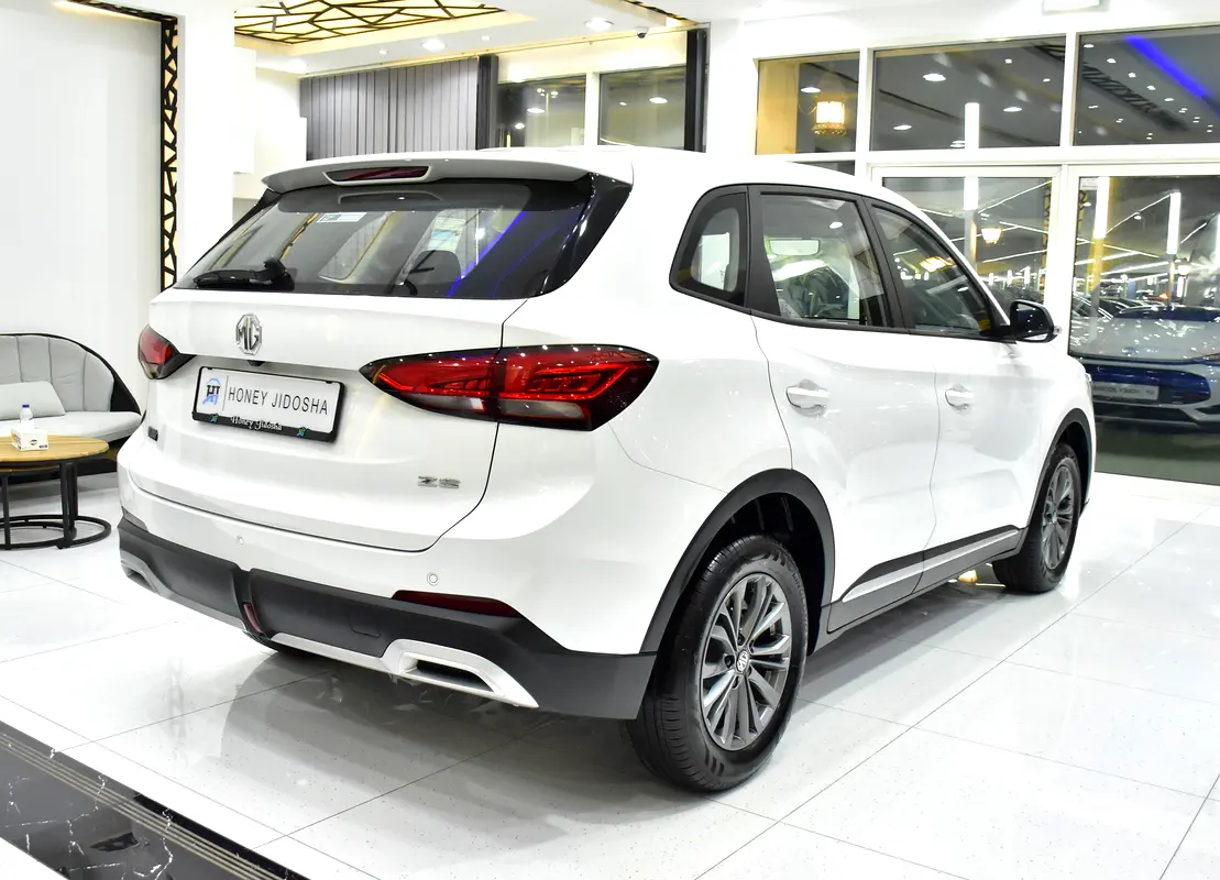 2026 ZS 0