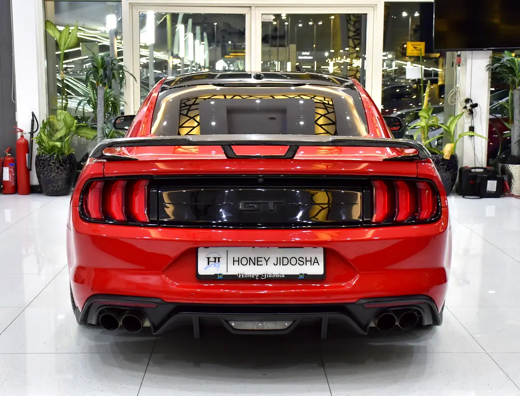 Well maintained 2019 Ford Mustang