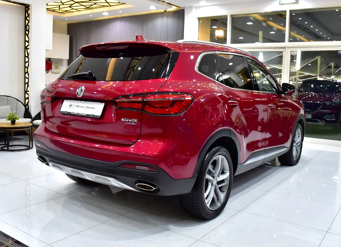 2021 HS 113000