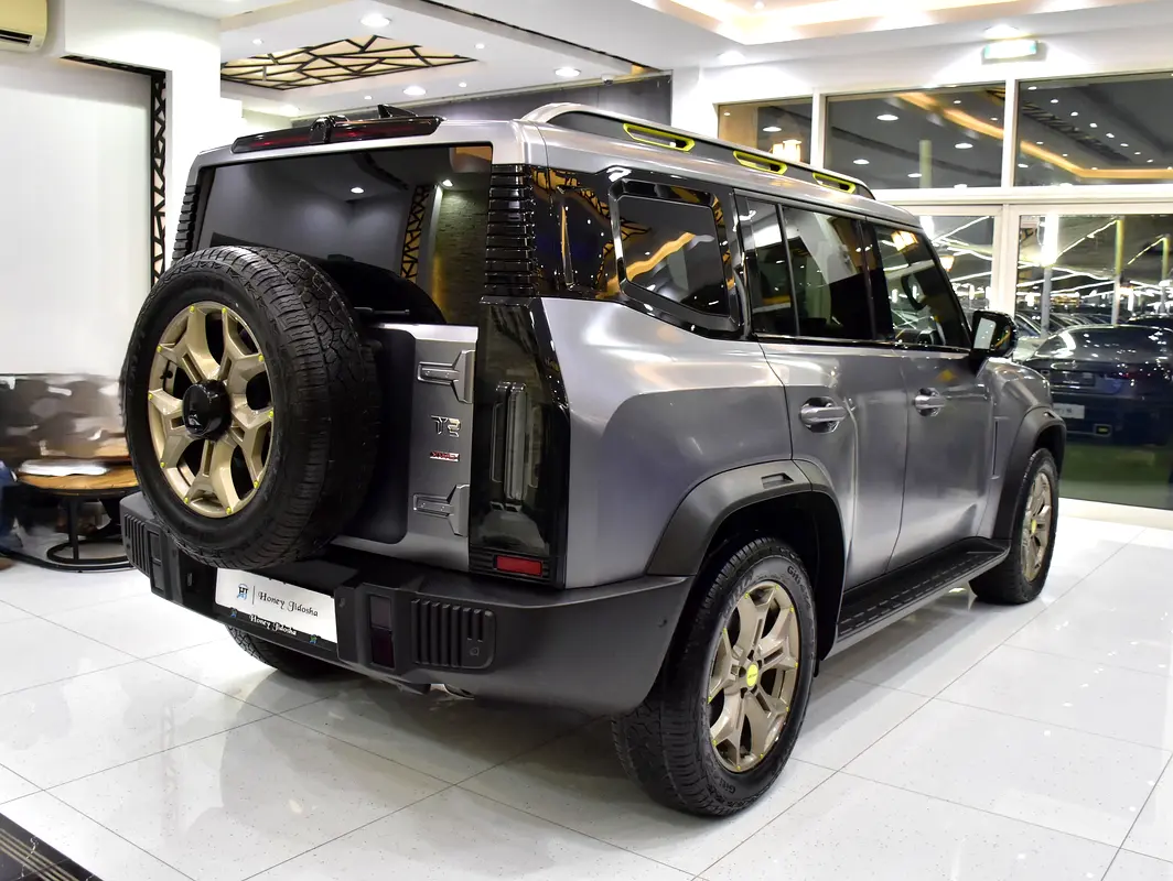 2024 T2 20000