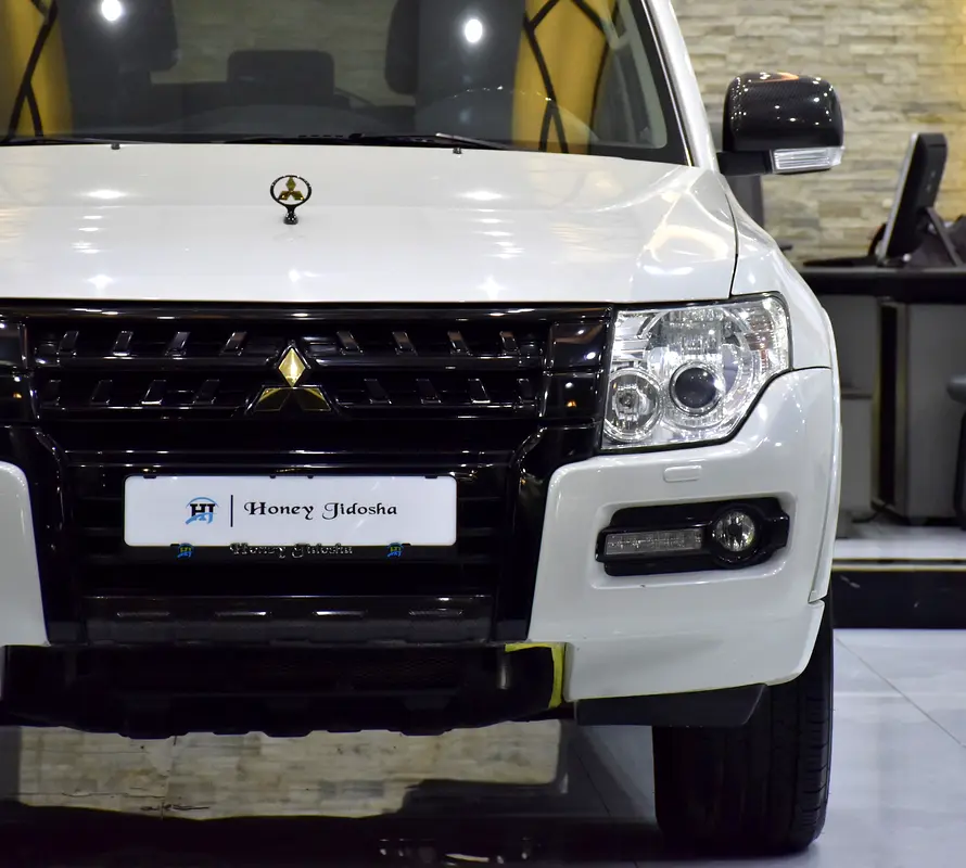 GCC 2018 Pajero