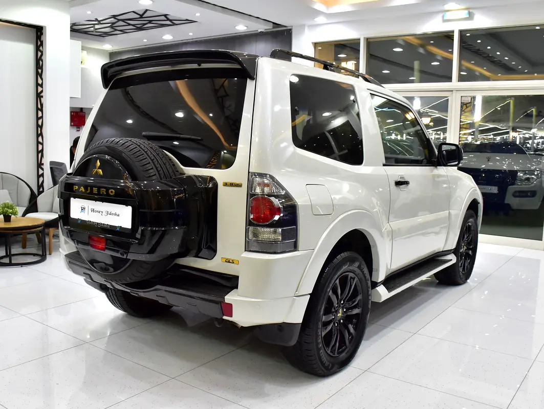 GCC 2018 Pajero