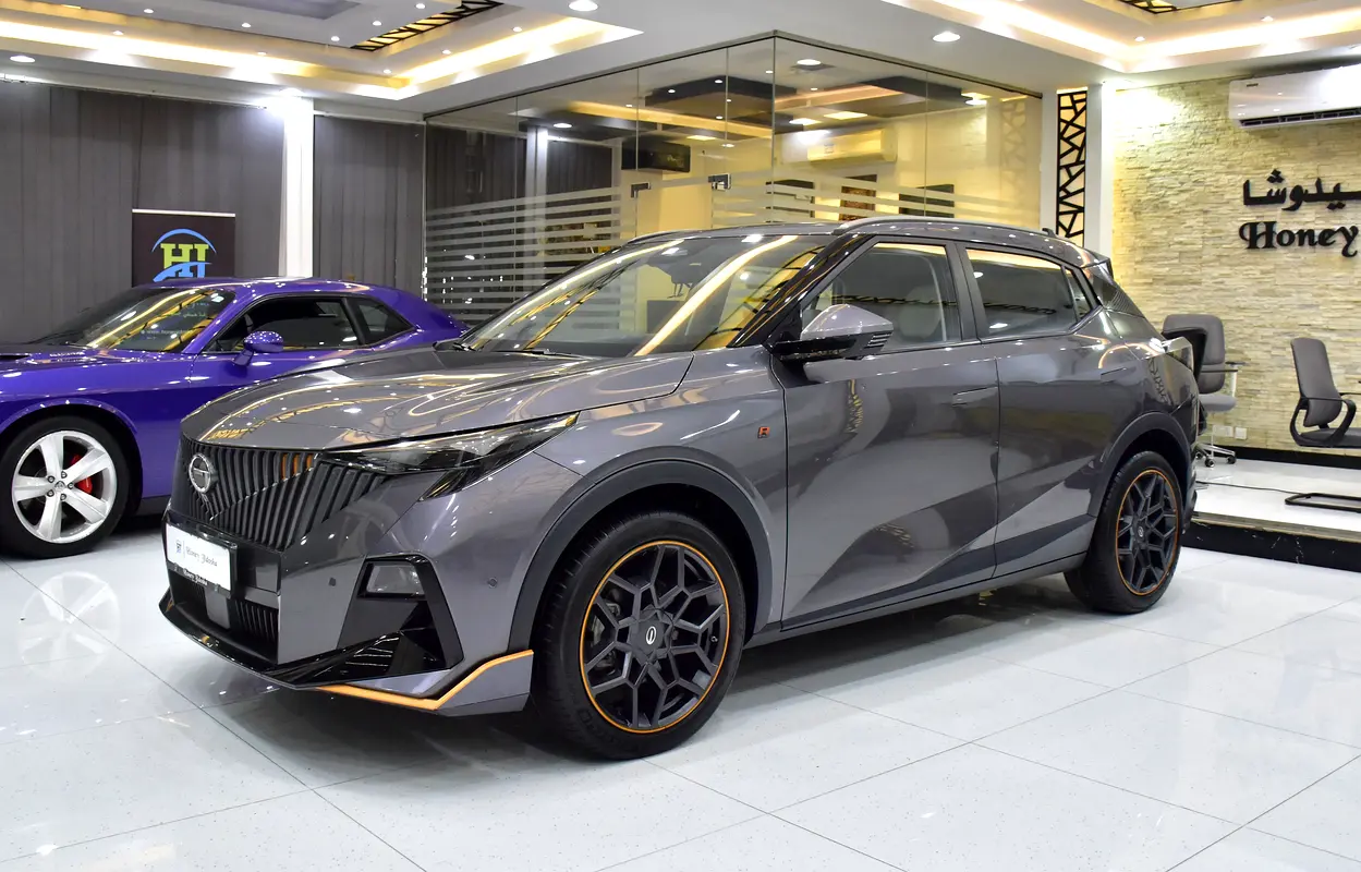 Well maintained 2024 GAC EMZOOM