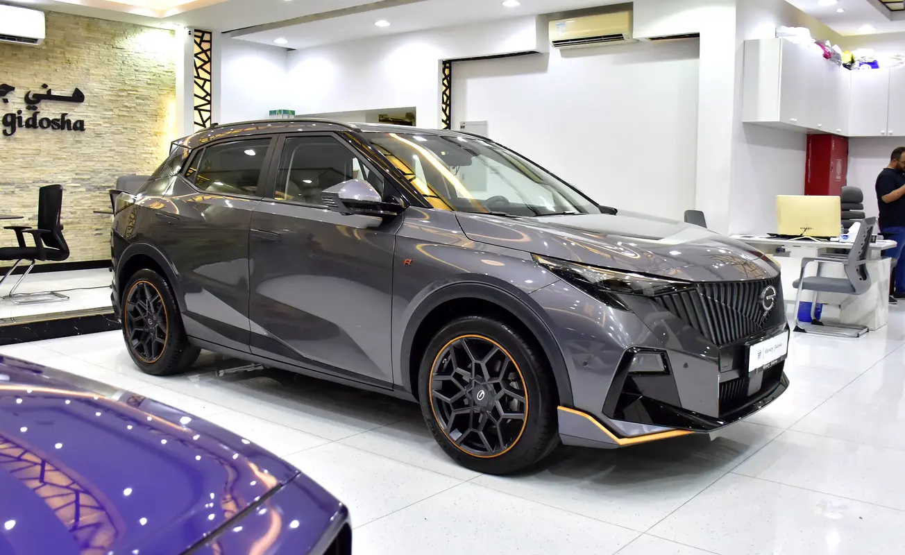 Well maintained 2024 GAC EMZOOM