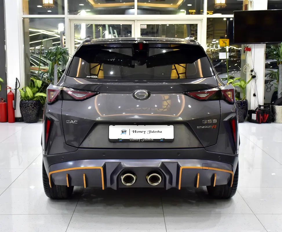 Well maintained 2024 GAC EMZOOM