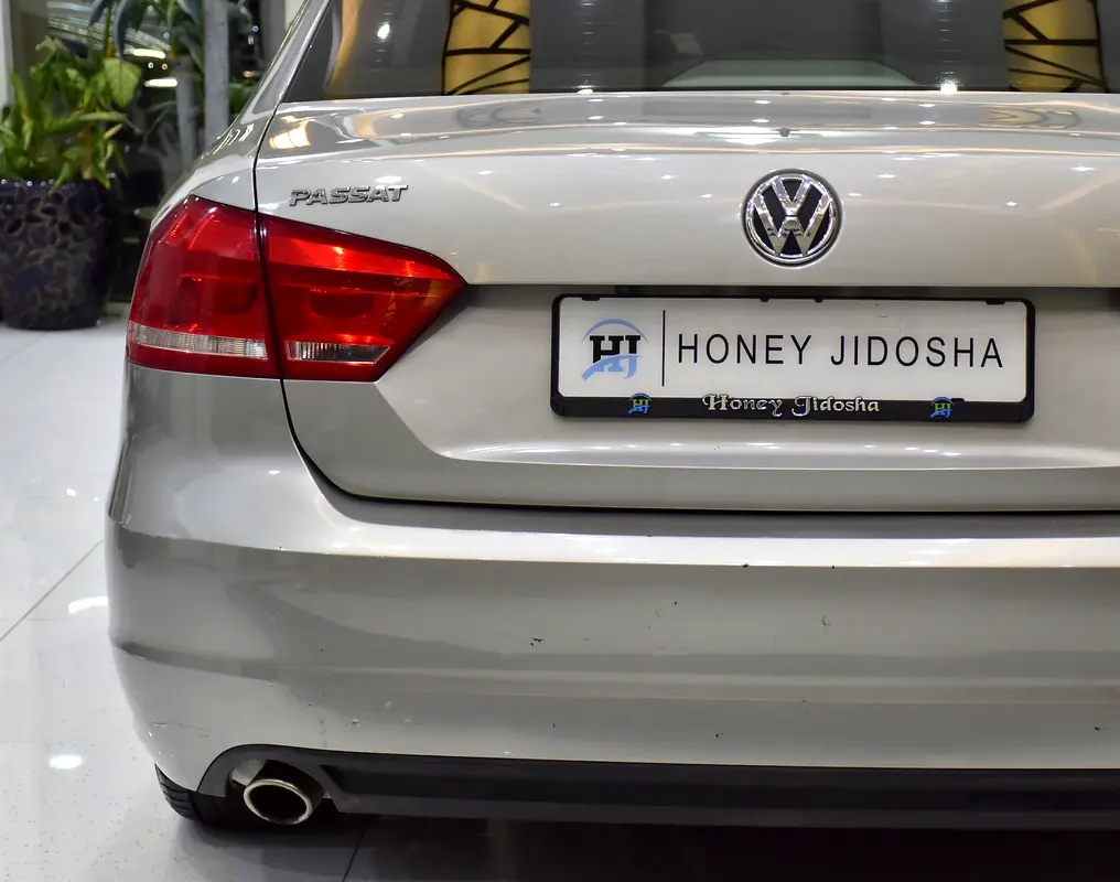 2013 Passat Canadian
