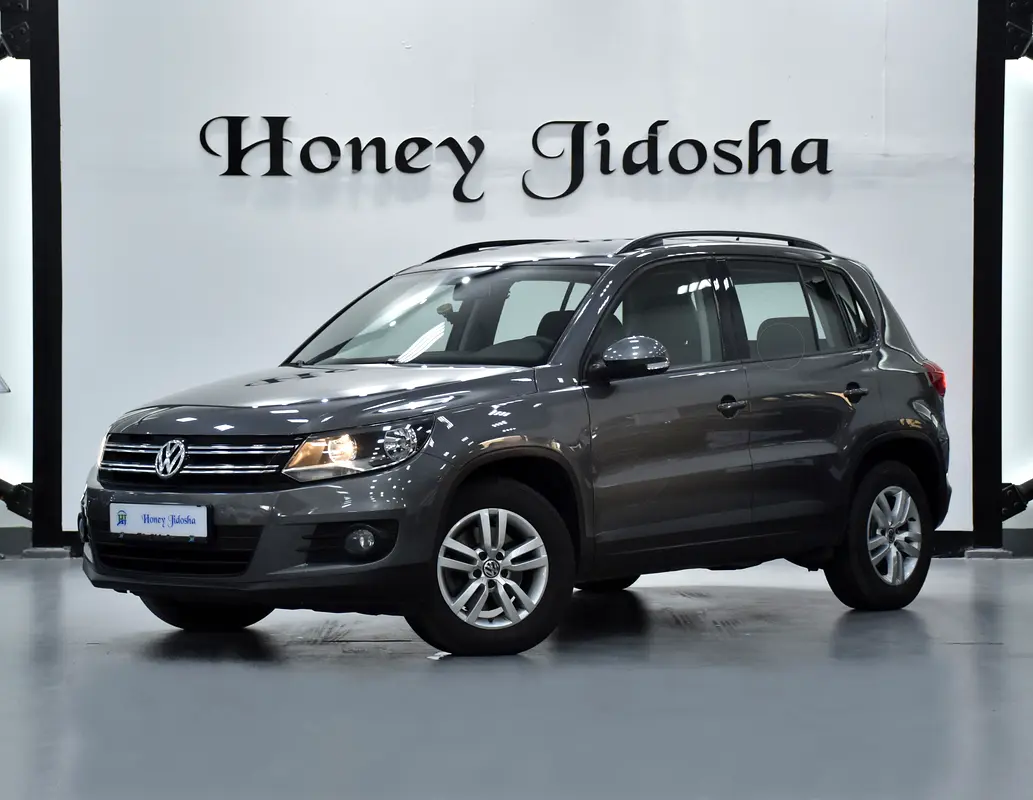 GCC 2016 Tiguan