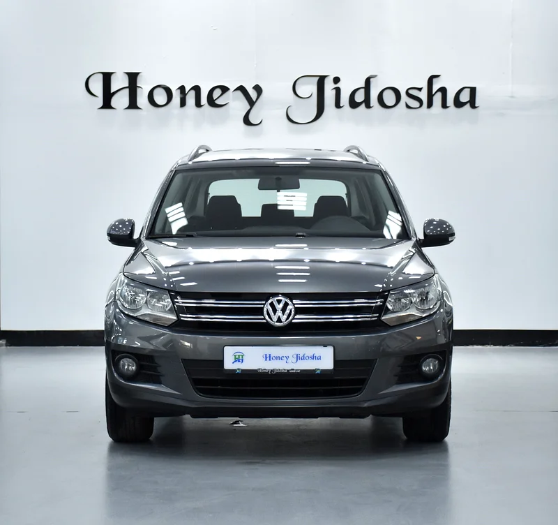 GCC 2016 Tiguan