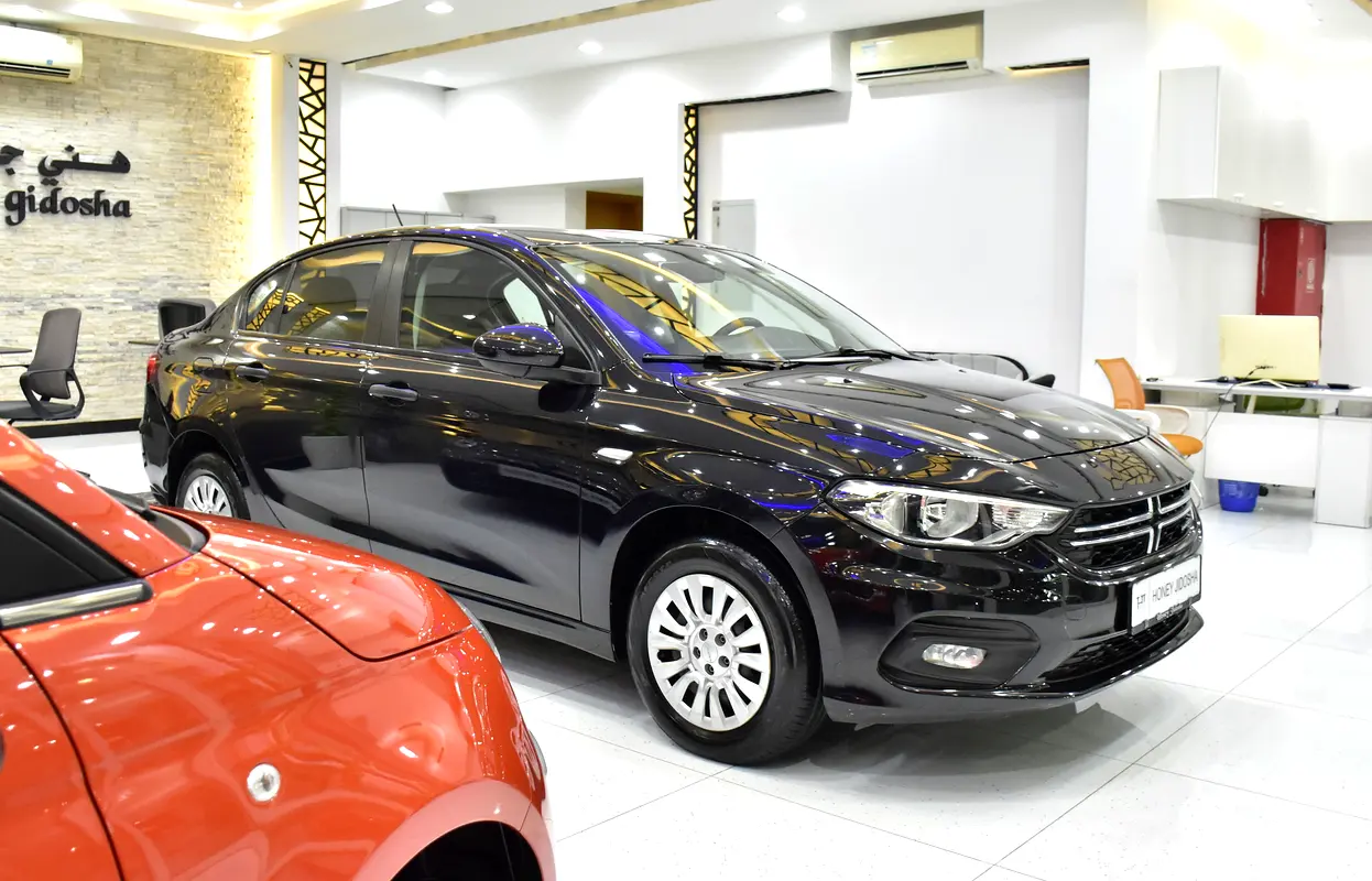 2017 Dodge Neon GCC