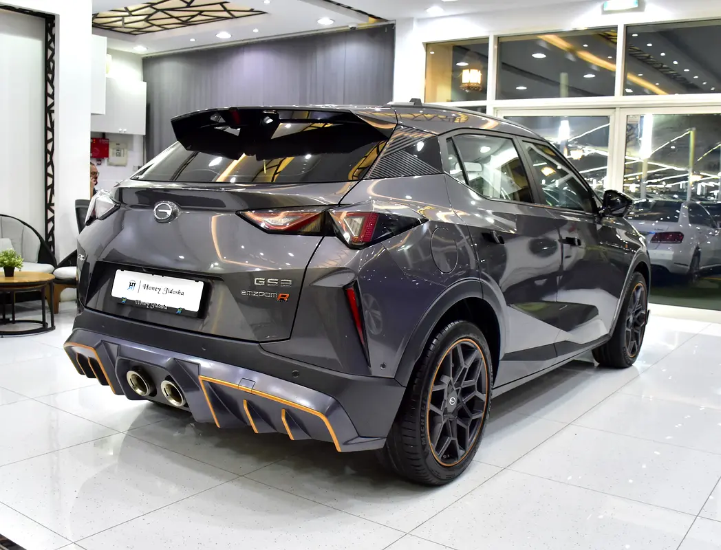 2024 EMZOOM GCC