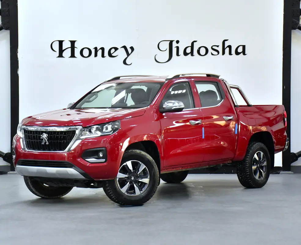 2023 Landtrek 0