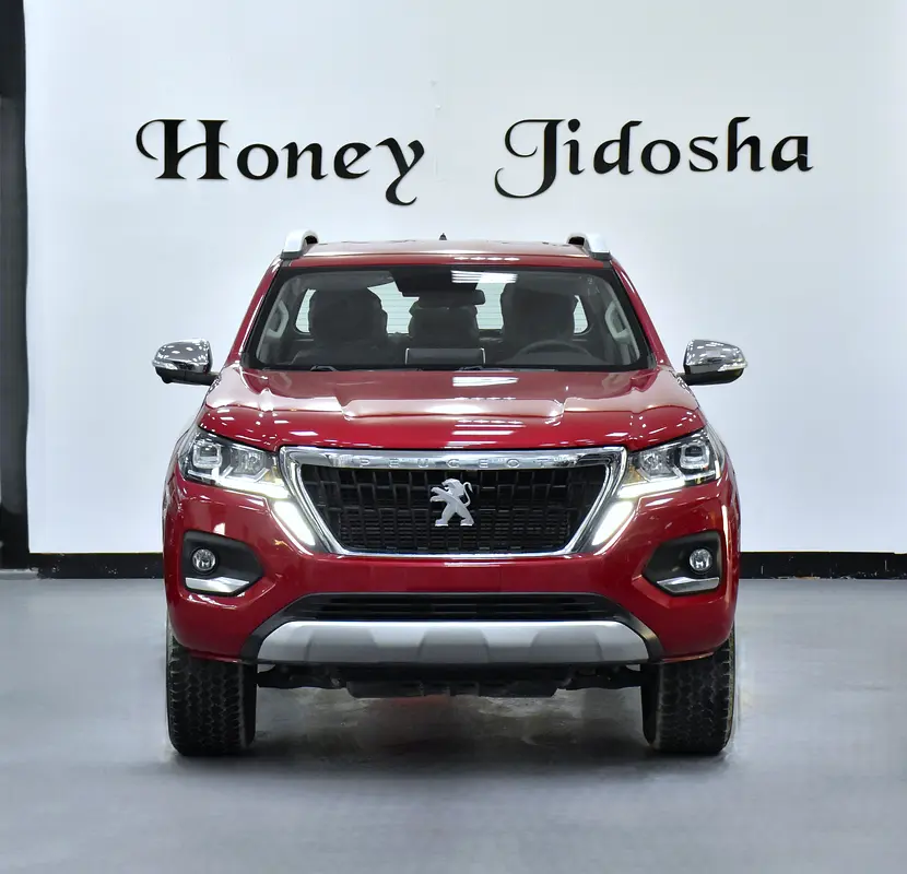 2023 Landtrek 0