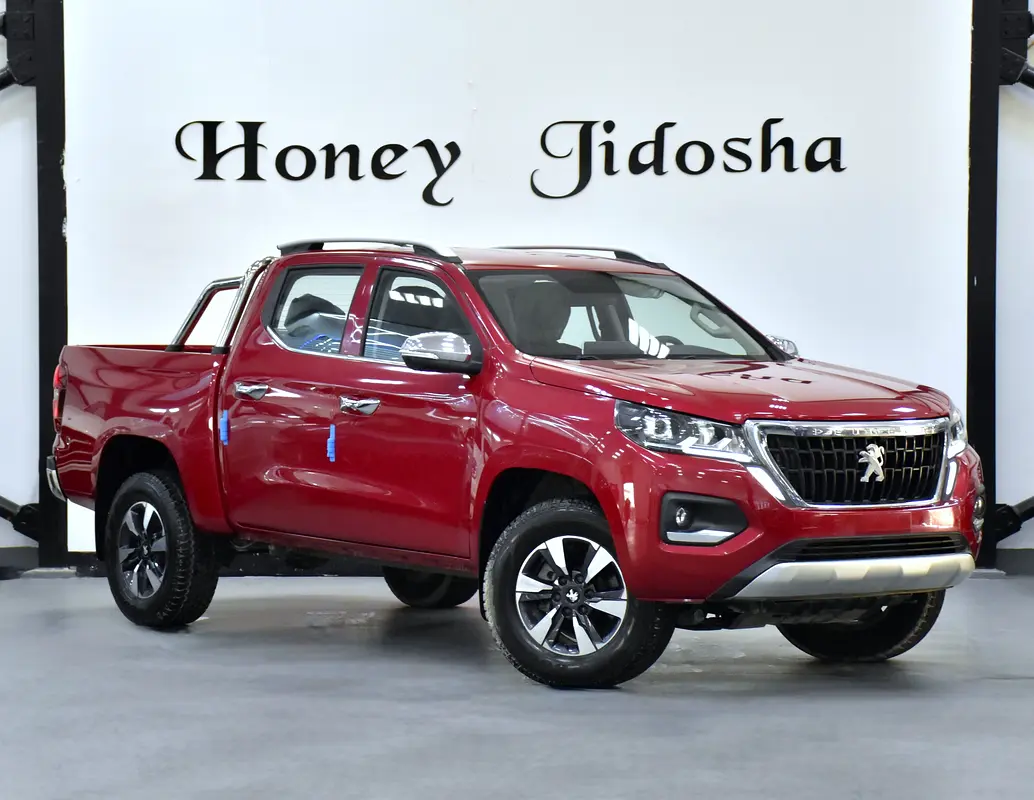 2023 Landtrek 0