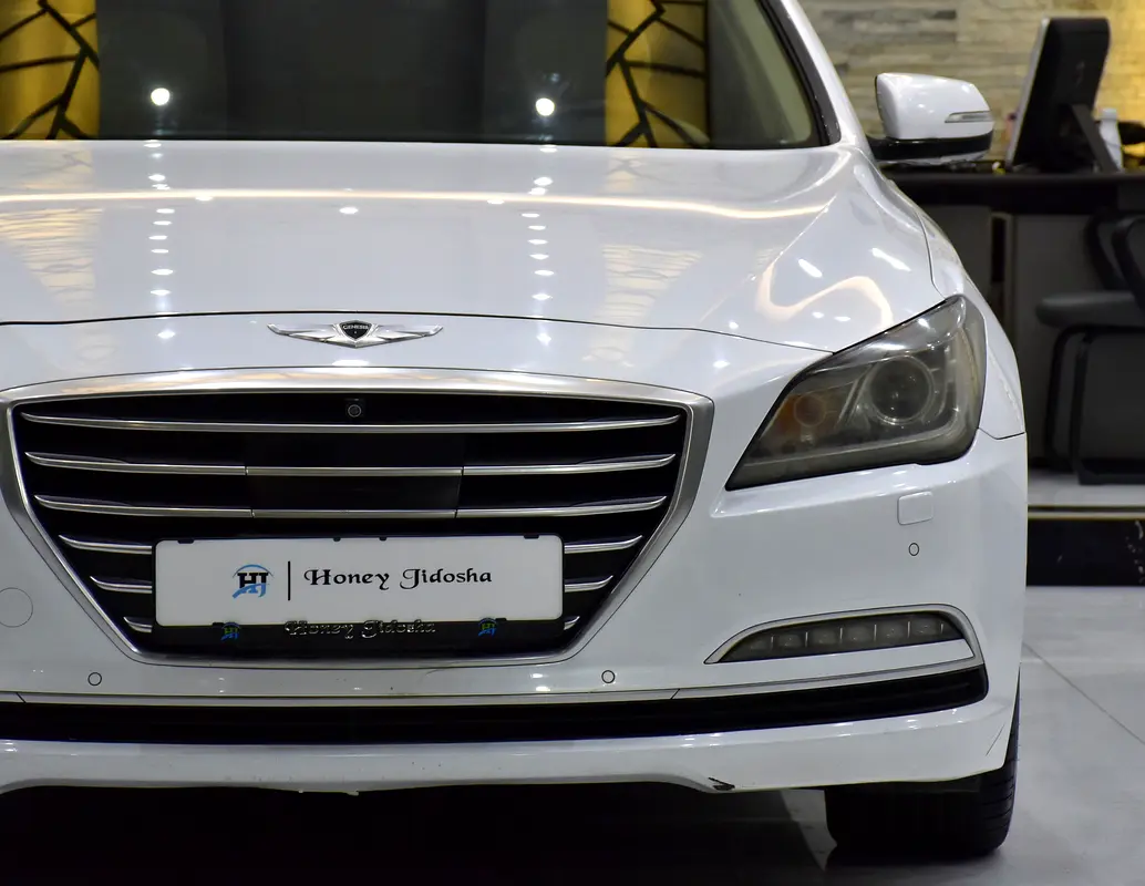 2016 Genesis GCC
