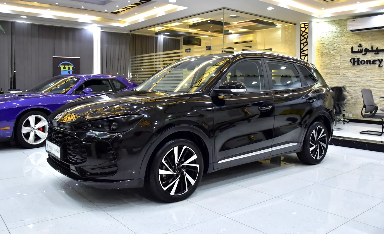 Chinese 2023 ZS