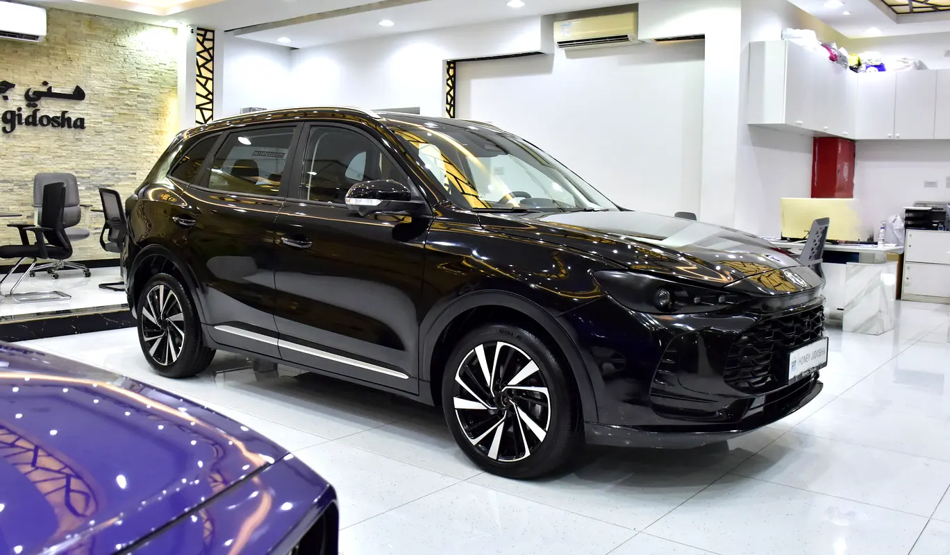Chinese 2023 ZS