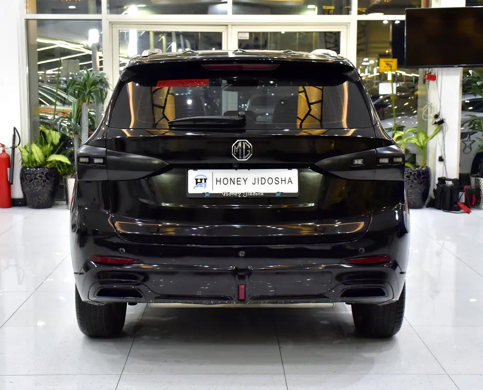 Chinese 2023 ZS