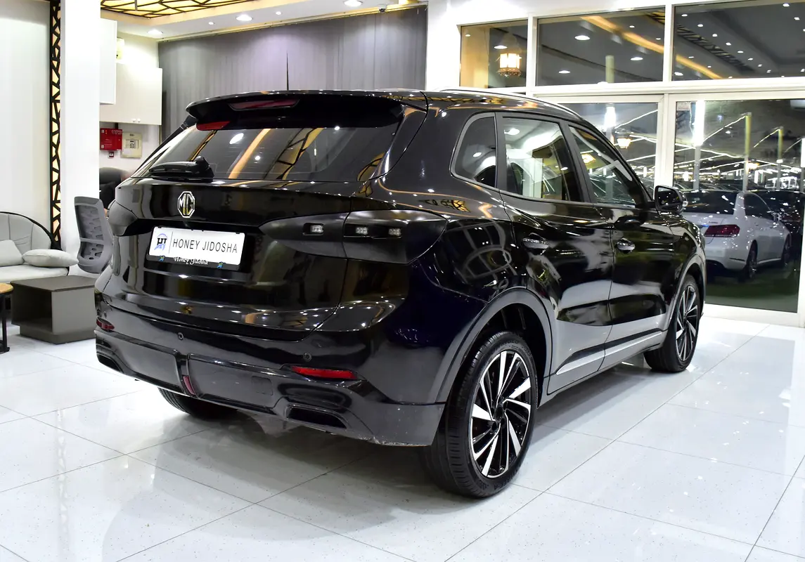 Chinese 2023 ZS