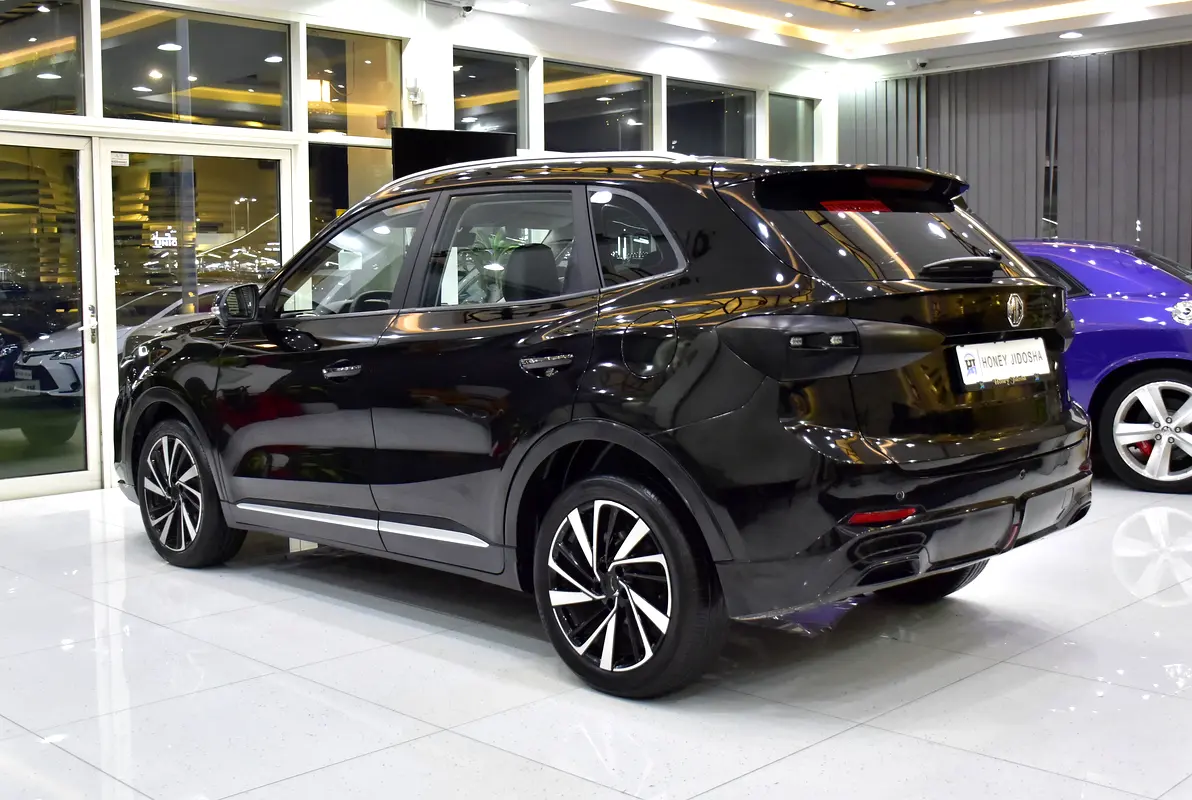 Chinese 2023 ZS
