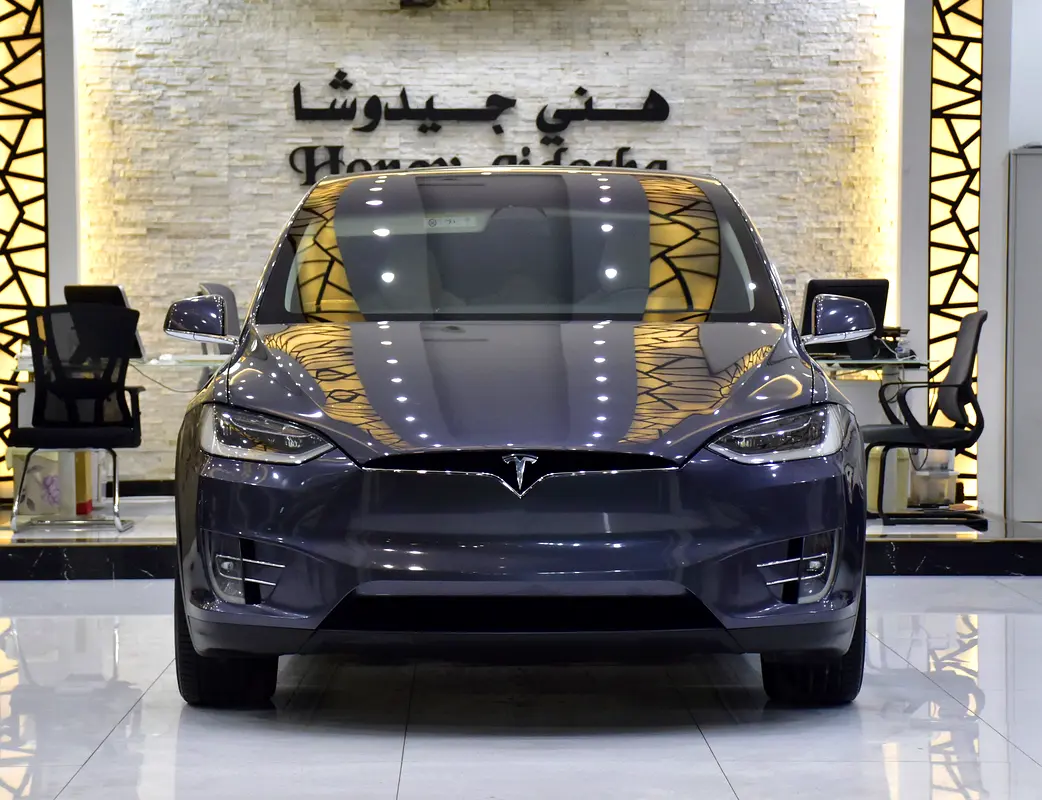 Well maintained 2019 Tesla Model X
