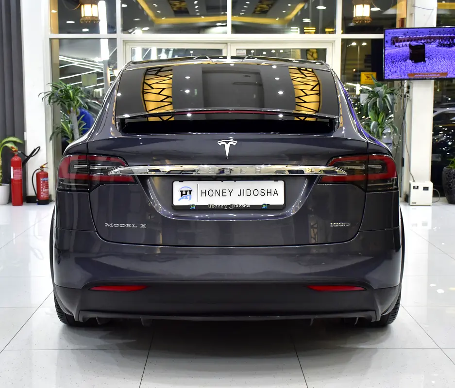 Well maintained 2019 Tesla Model X