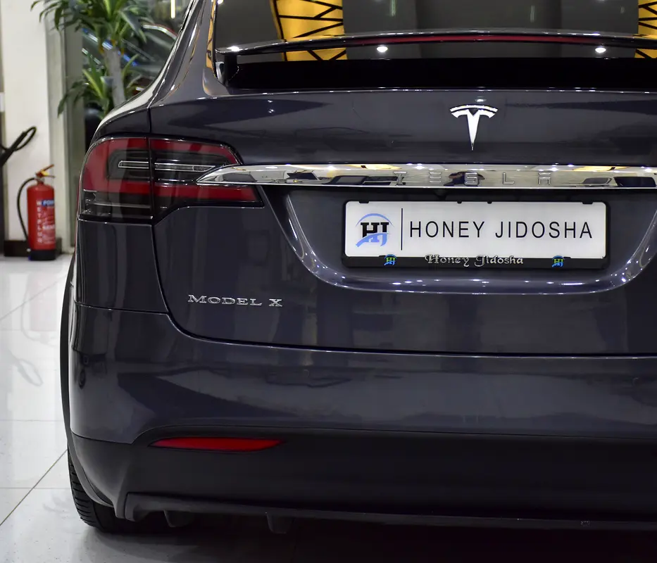Well maintained 2019 Tesla Model X