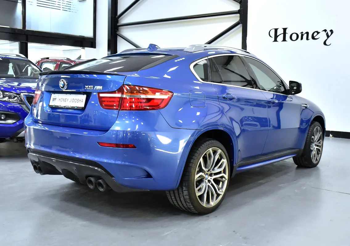 GCC 2013 BMW X6