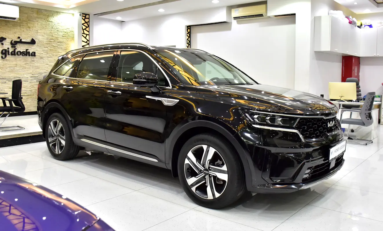 Well maintained 2023 Kia Sorento