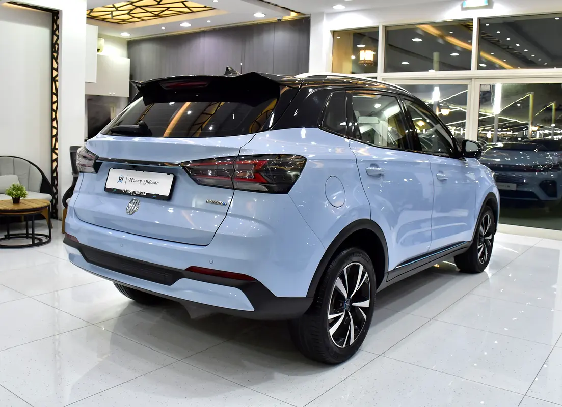 2023 RX3 Chinese