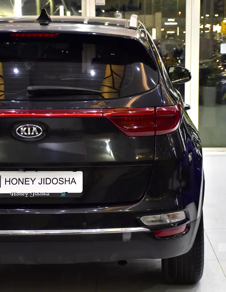 GCC 2019 Sportage