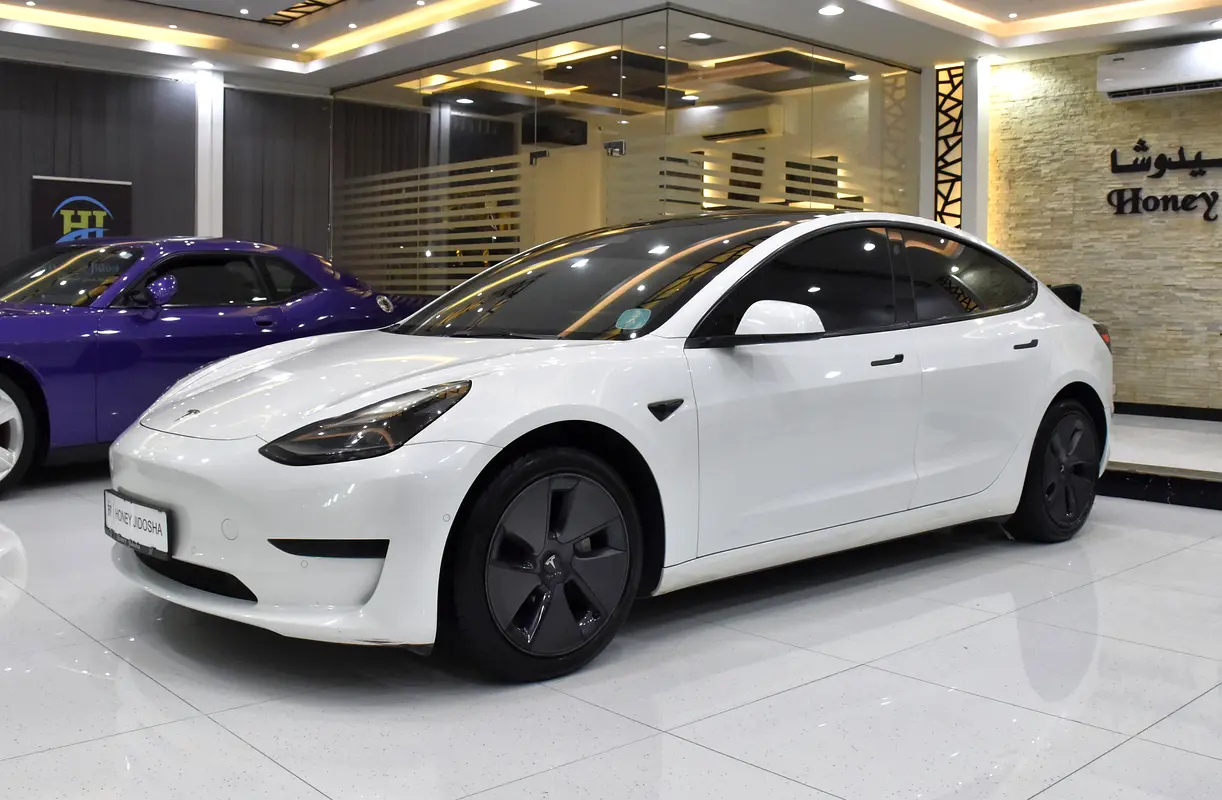 2022 Model 3 83000