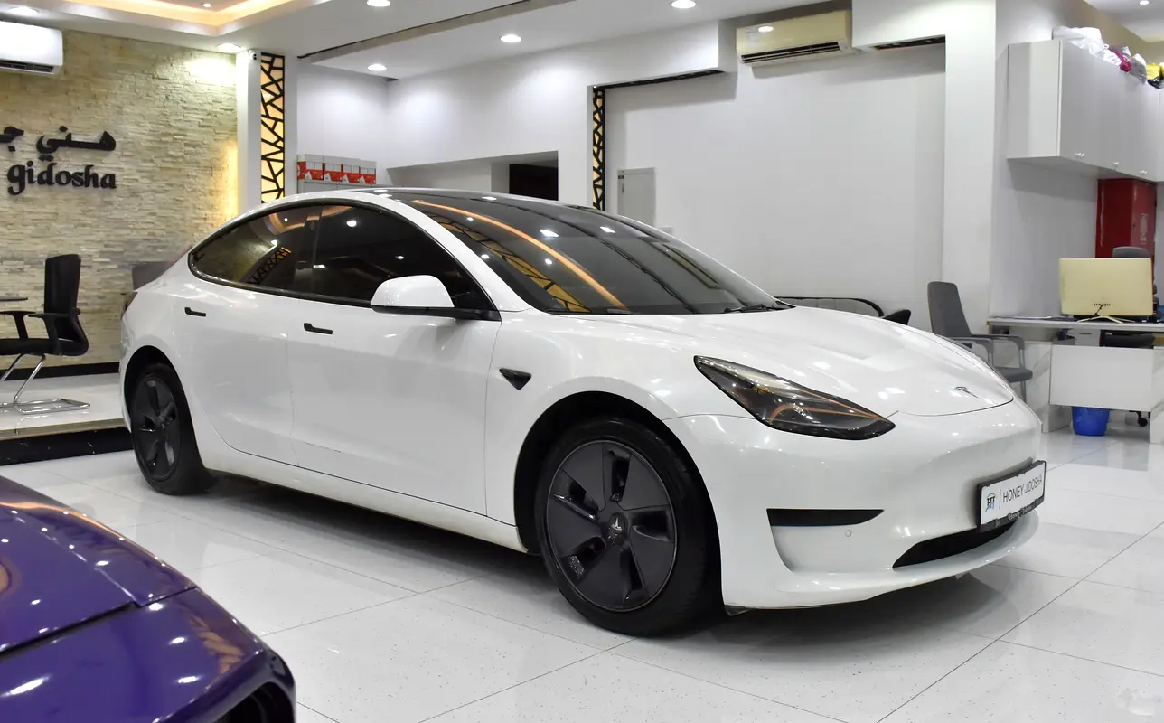 2022 Model 3 83000