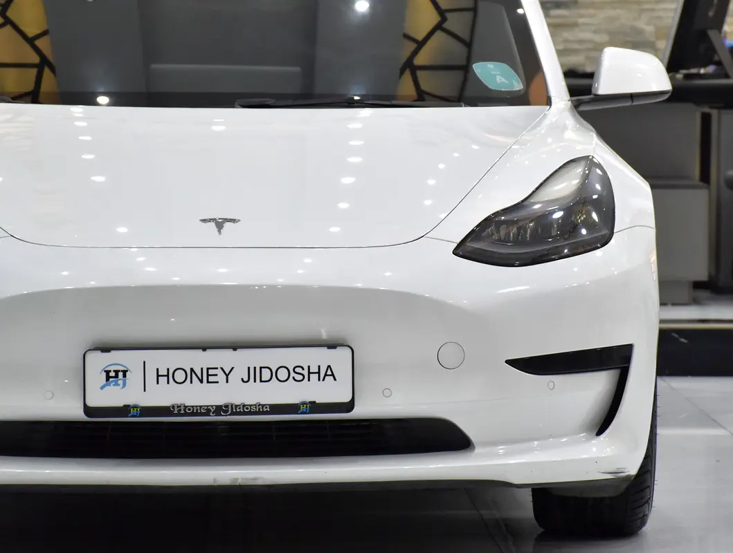 2022 Model 3 83000