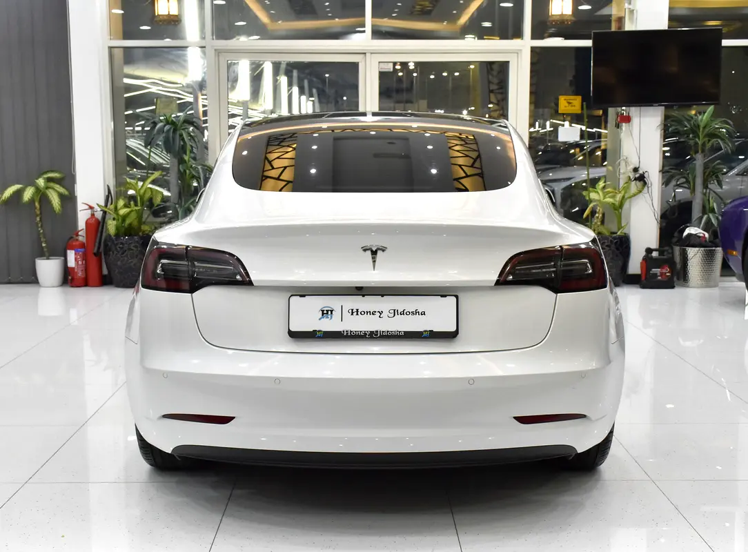 2022 Model 3 83000