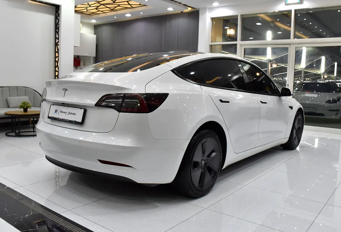 2022 Model 3 83000