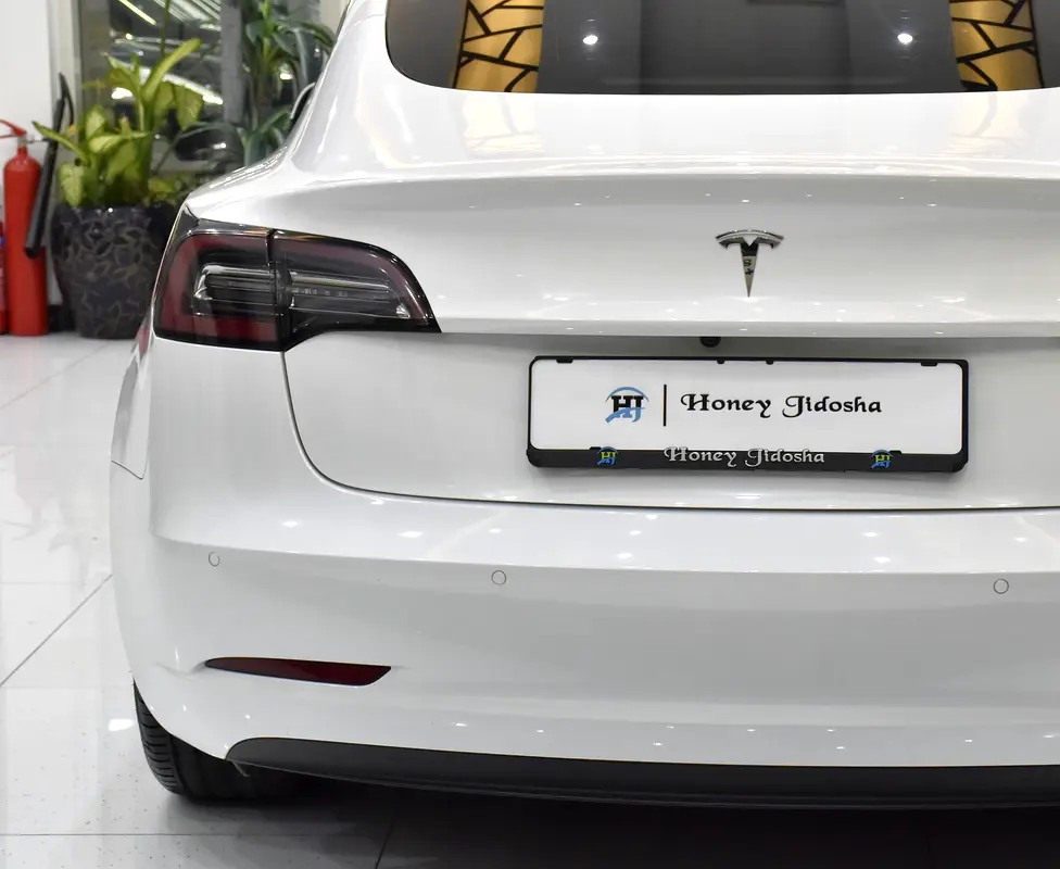 2022 Model 3 83000