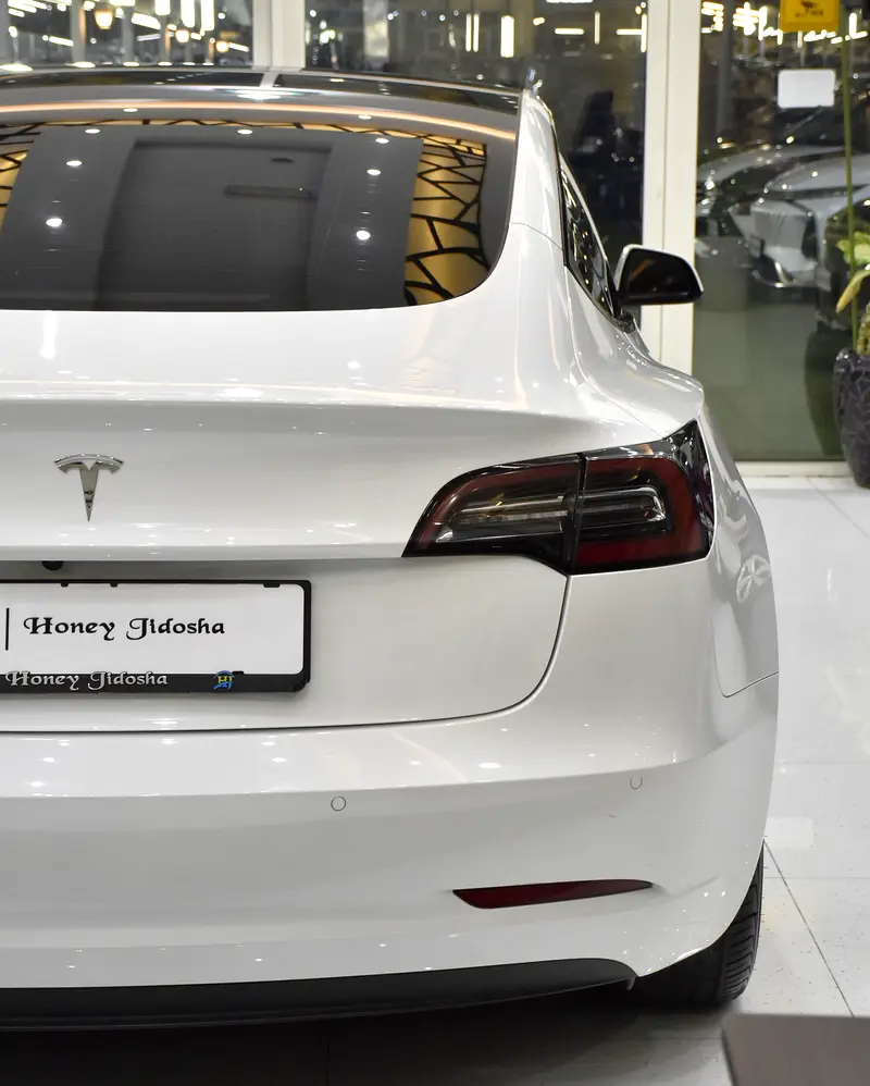 2022 Model 3 83000
