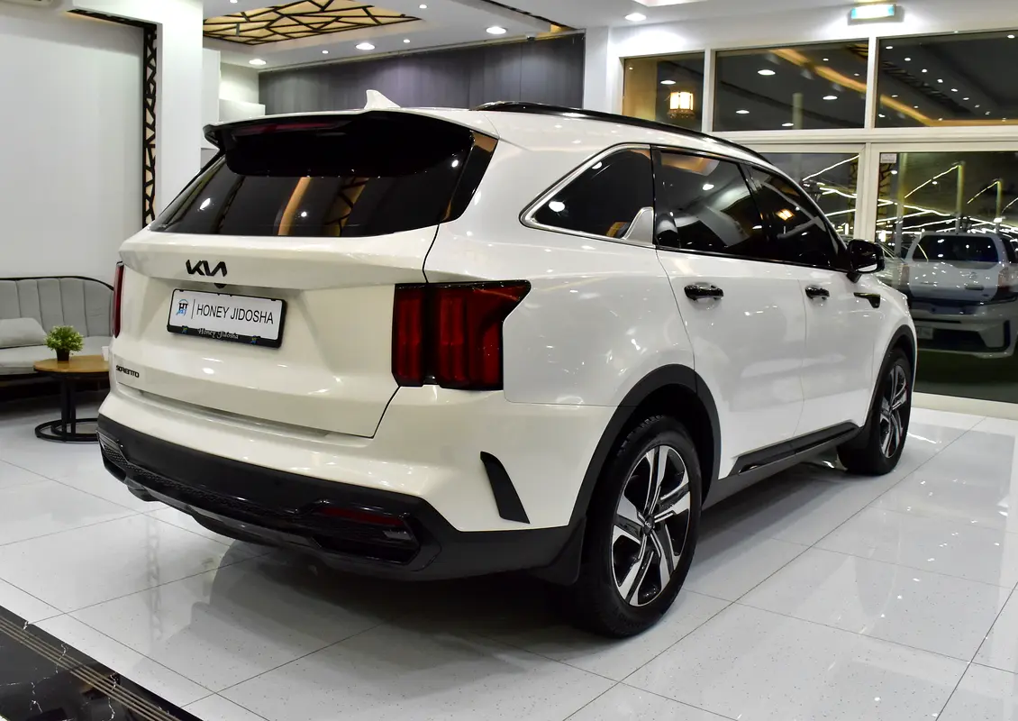 Well maintained 2023 Kia Sorento