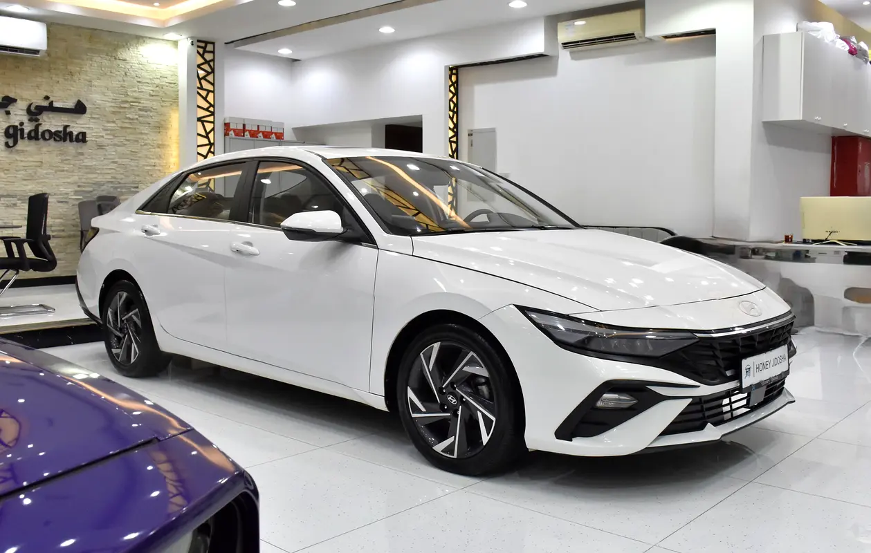 Well maintained 2024 Hyundai Elantra
